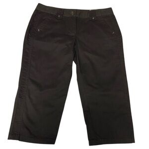 NWT Ann Taylor 30x17 Lindsay Brown Cropped Capri Pants - Women’s 2P